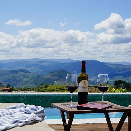 Casa Do Santo - Wine & Tourism Villa Provesende Bagian luar foto